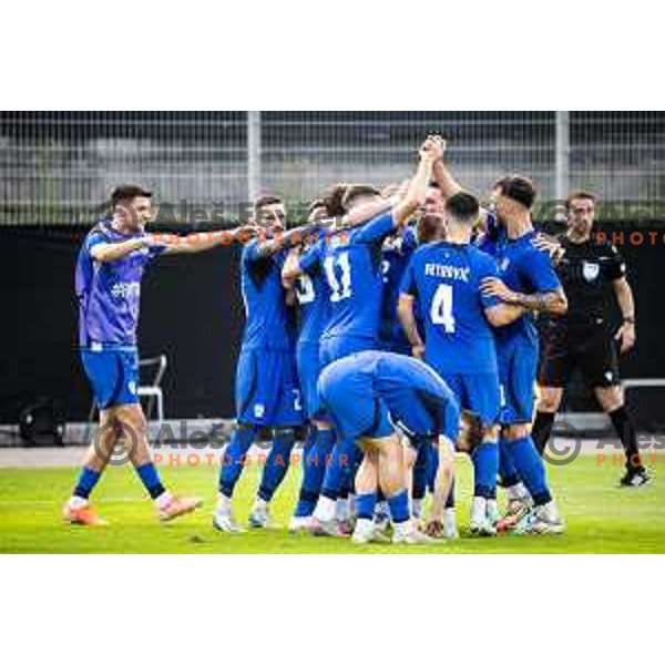 Andres Vombergar celebrates a goal during friendly football match between national team of Slovenia and Bosnia and Herzegovina in Stadion z’dezele, Celje, Slovenia on June 10, 2025. Photo: Jure Banfi