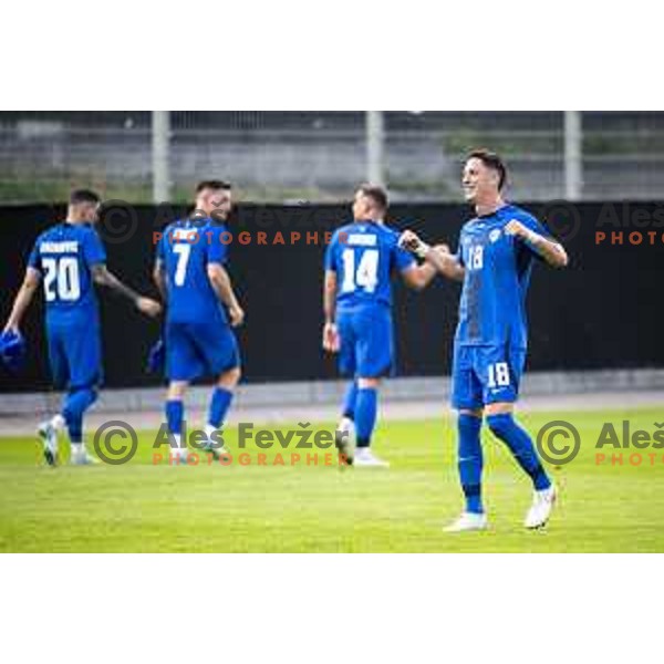 Andres Vombergar celebrates a goal during friendly football match between national team of Slovenia and Bosnia and Herzegovina in Stadion z’dezele, Celje, Slovenia on June 10, 2025. Photo: Jure Banfi