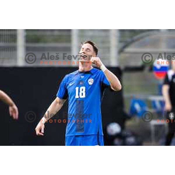 Andres Vombergar celebrates a goal during friendly football match between national team of Slovenia and Bosnia and Herzegovina in Stadion z’dezele, Celje, Slovenia on June 10, 2025. Photo: Jure Banfi