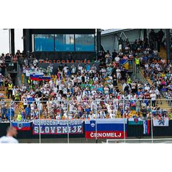 in action during international friendly football match between Slovenia and Bosnia and Herzegovina in Celje, Slovenia on June 10, 2025.