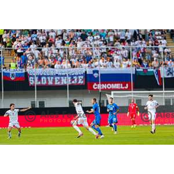 in action during international friendly football match between Slovenia and Bosnia and Herzegovina in Celje, Slovenia on June 10, 2025.