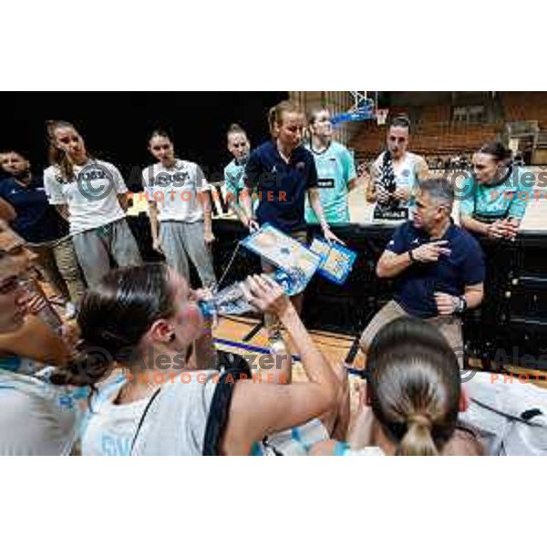 Georgios Dikaloulakos, head coach of Slovenia during preparation match for Women’s EuroBasket 2025 between Slovenia and Montenegro in Tivoli Hall, Ljubljana, Slovenia on June 11, 2025
