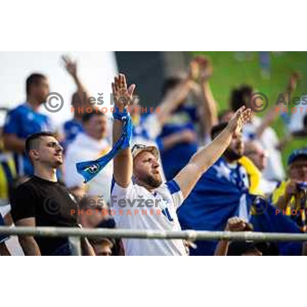 Bosnia and Herzegovina supporter during friendly football match between national team of Slovenia and Bosnia and Herzegovina in Stadion z’dezele, Celje, Slovenia on June 10, 2025. Photo: Jure Banfi