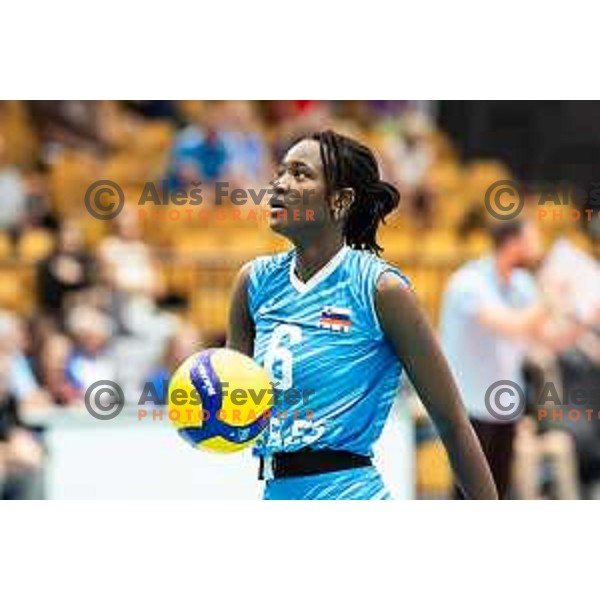 Neneh Sillah in action during CEV Women Volleyball European Golden League 2025 match between Greece and Slovenia in Rdeca dvorana, Velenje, Slovenia on June 13, 2025. Photo: Jure Banfi