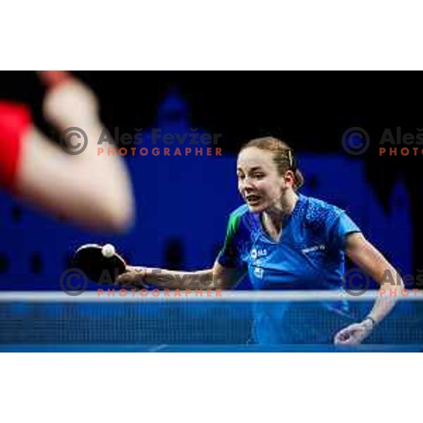 Ana Tofant during WTT Star Contender Ljubljana 2025 in Tivoli Hall Ljubljana, Slovenia on June 19, 2025.
