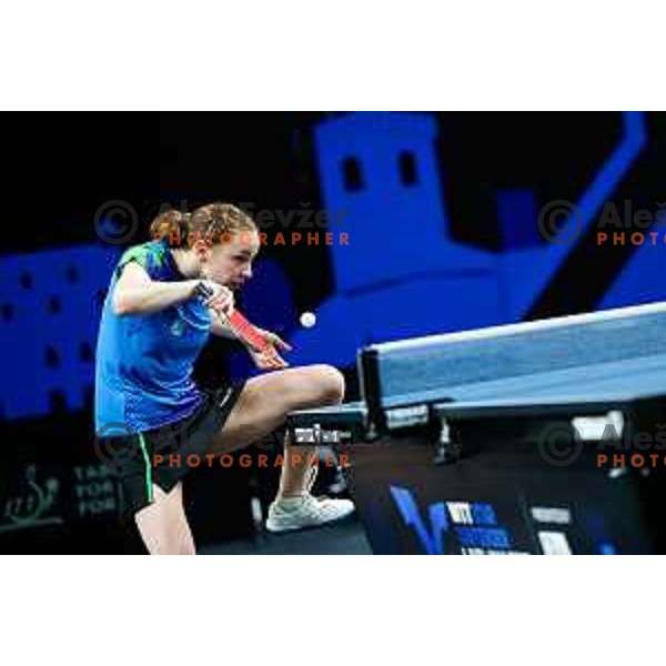Ana Tofant during WTT Star Contender Ljubljana 2025 in Tivoli Hall Ljubljana, Slovenia on June 19, 2025.