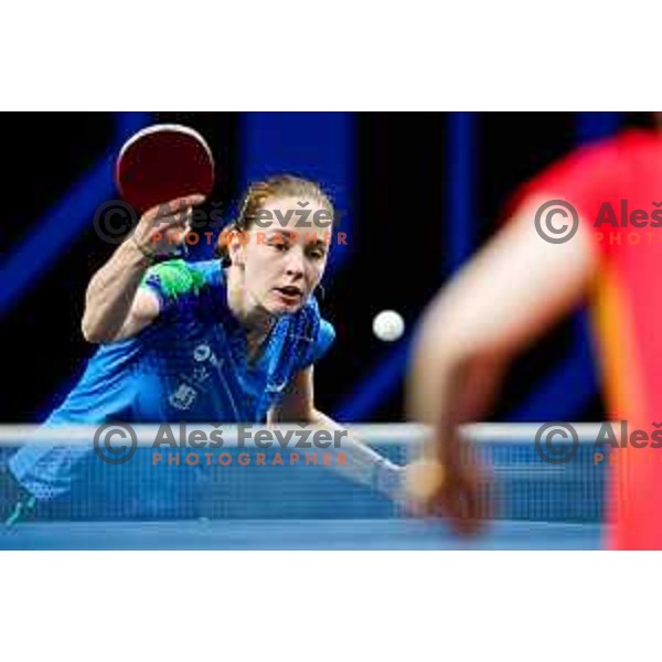 Ana Tofant during WTT Star Contender Ljubljana 2025 in Tivoli Hall Ljubljana, Slovenia on June 19, 2025.