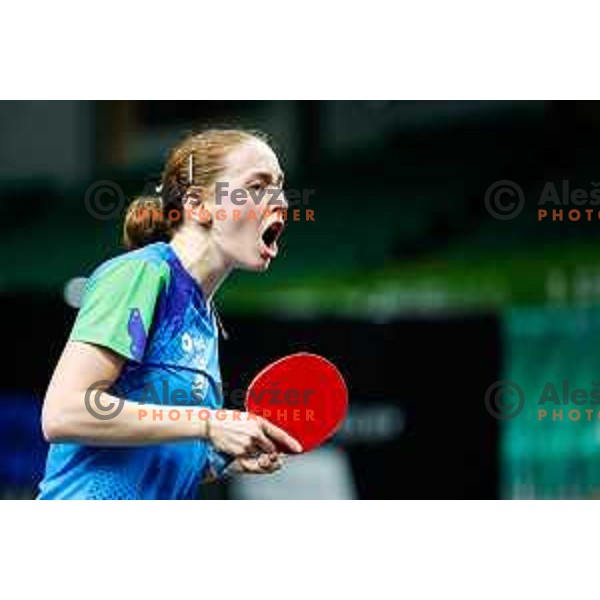 Ana Tofant during WTT Star Contender Ljubljana 2025 in Tivoli Hall Ljubljana, Slovenia on June 19, 2025.