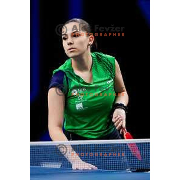 Sara Tokic during WTT Star Contender Ljubljana 2025 in Tivoli Hall Ljubljana, Slovenia on June 19, 2025.