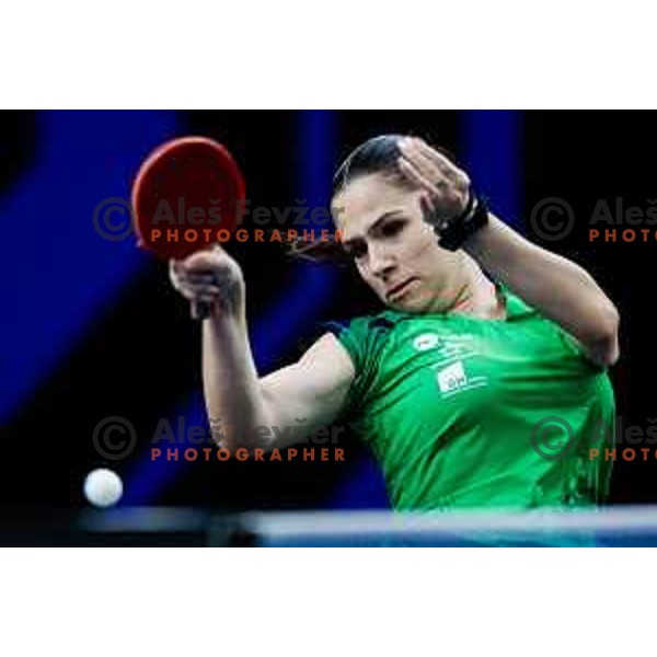 Sara Tokic during WTT Star Contender Ljubljana 2025 in Tivoli Hall Ljubljana, Slovenia on June 19, 2025.