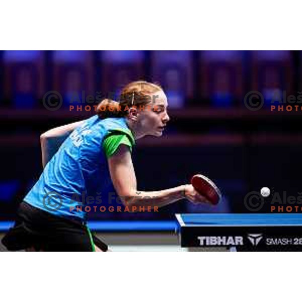 Ana Tofant during WTT Star Contender Ljubljana 2025 in Tivoli Hall Ljubljana, Slovenia on June 19, 2025.