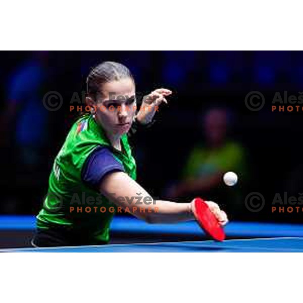 Sara Tokic during WTT Star Contender Ljubljana 2025 in Tivoli Hall Ljubljana, Slovenia on June 19, 2025.