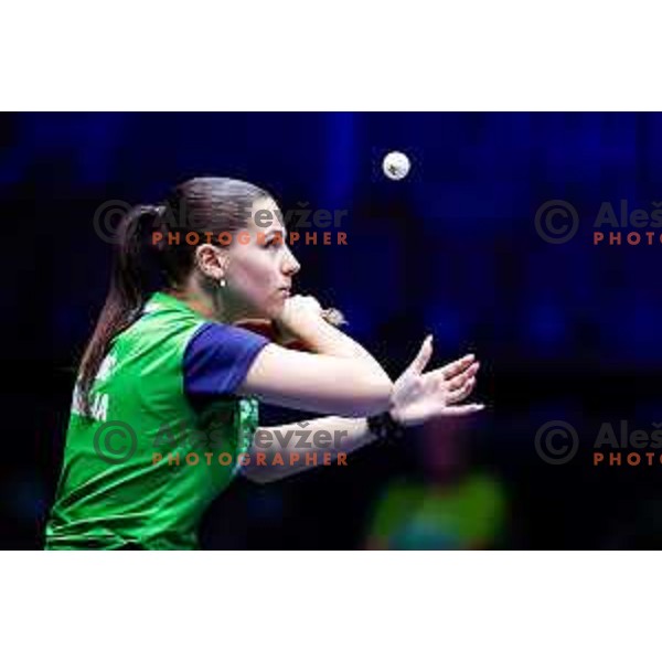 Sara Tokic during WTT Star Contender Ljubljana 2025 in Tivoli Hall Ljubljana, Slovenia on June 19, 2025.