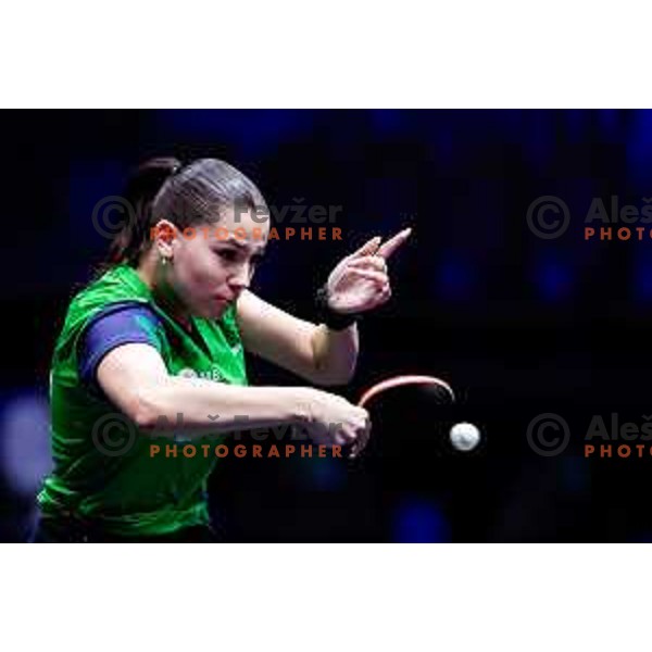 Sara Tokic during WTT Star Contender Ljubljana 2025 in Tivoli Hall Ljubljana, Slovenia on June 19, 2025.