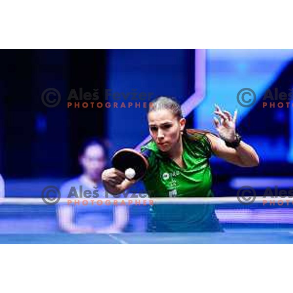 Sara Tokic during WTT Star Contender Ljubljana 2025 in Tivoli Hall Ljubljana, Slovenia on June 19, 2025.