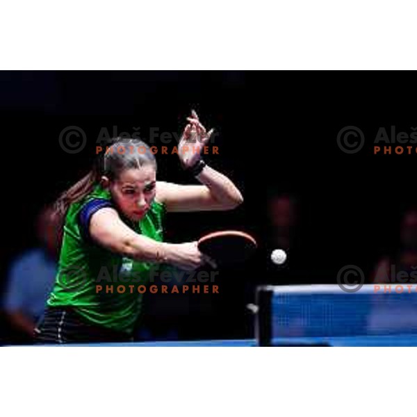 Sara Tokic during WTT Star Contender Ljubljana 2025 in Tivoli Hall Ljubljana, Slovenia on June 19, 2025.