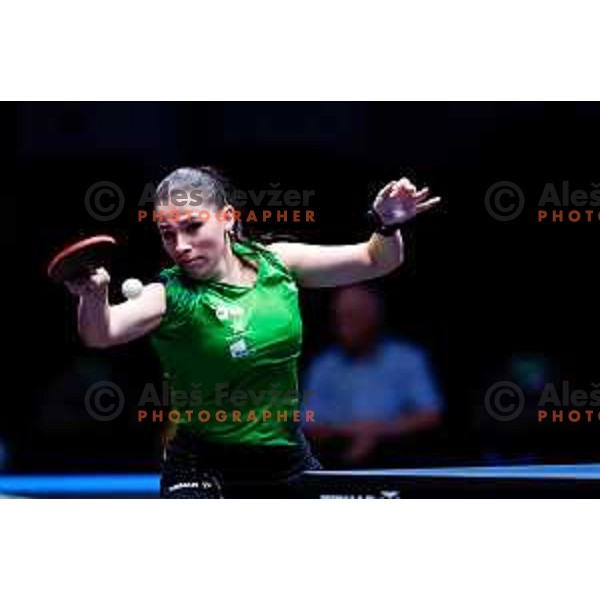 Sara Tokic during WTT Star Contender Ljubljana 2025 in Tivoli Hall Ljubljana, Slovenia on June 19, 2025.