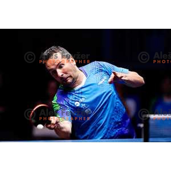 Bojan Tokic during WTT Star Contender Ljubljana 2025 in Tivoli Hall Ljubljana, Slovenia on June 19, 2025.