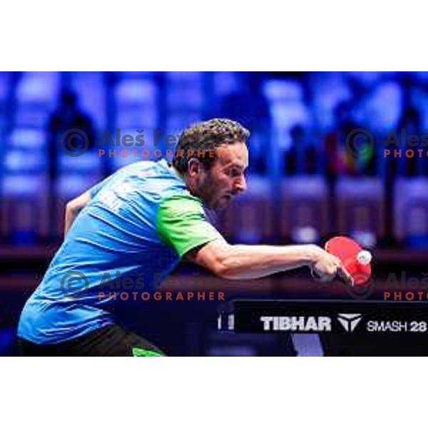 Bojan Tokic during WTT Star Contender Ljubljana 2025 in Tivoli Hall Ljubljana, Slovenia on June 19, 2025.