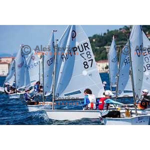 First day of sailing competition at 2025 Optimist World Championship in Portoroz, Slovenia on June 28, 2025