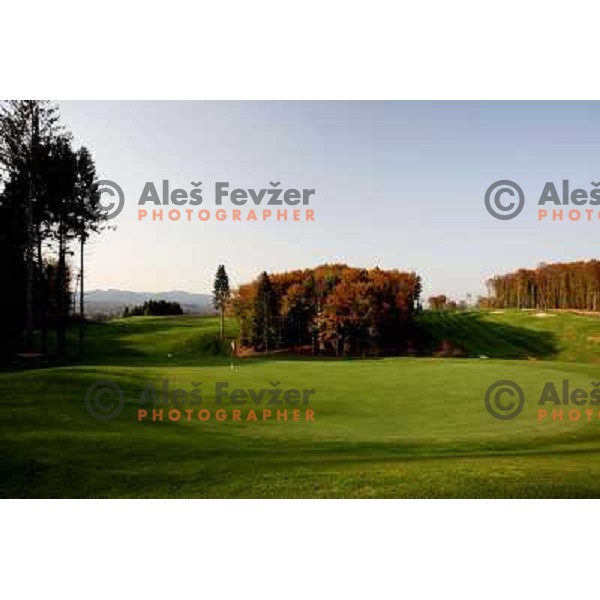 Otocec golf course, Slovenia. Green of hole nr.2. Photos are taken 14.10.2008 