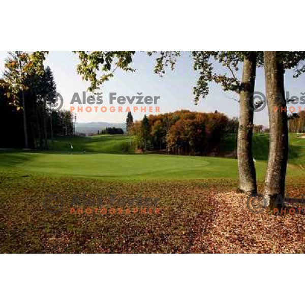 Otocec golf course, Slovenia.Green of hole nr.2. Photos are taken 14.10.2008 