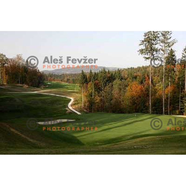 Otocec golf course, Slovenia. Green of hole nr. 5. Photos are taken 14.10.2008 