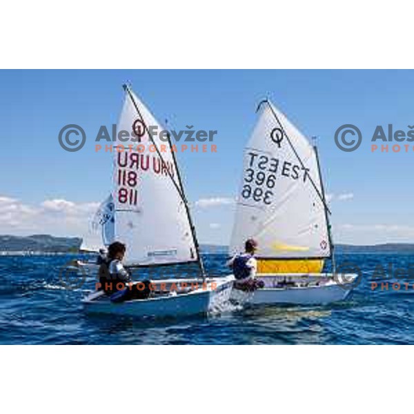 Second day of sailing competition at 2025 Optimist World Championship in Portoroz, Slovenia on June 29, 2025