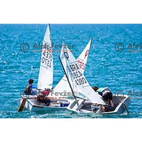 Team Race Final sailing competition at 2025 Optimist World Championship in Portoroz, Slovenia on July 2, 2025