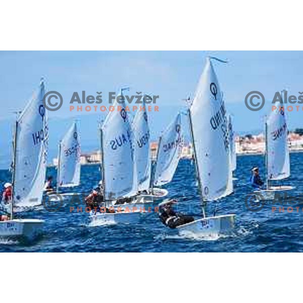 sailing competition at 2025 Optimist World Championship in Portoroz, Slovenia on June 28, 2025