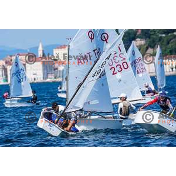 sailing competition at 2025 Optimist World Championship in Portoroz, Slovenia on June 28, 2025