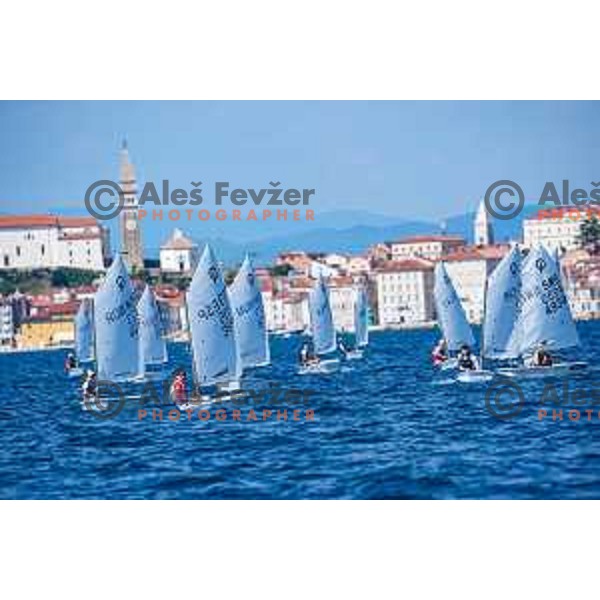 sailing competition at 2025 Optimist World Championship in Portoroz, Slovenia on June 28, 2025
