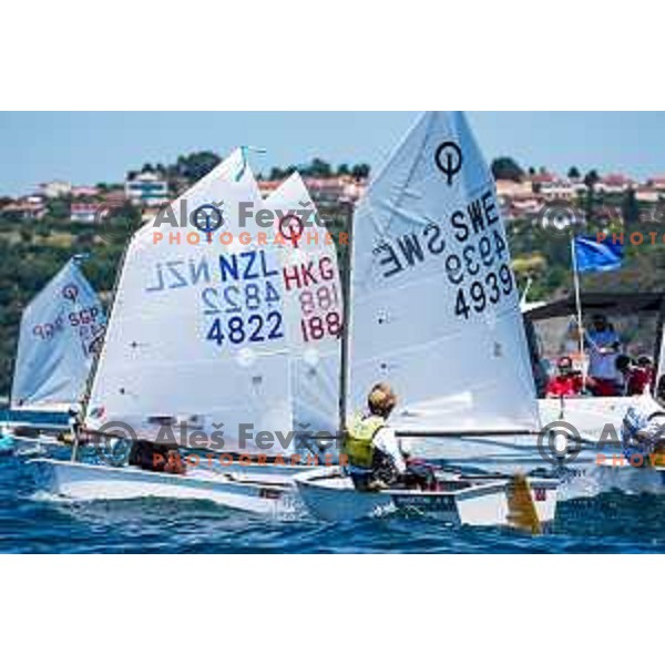sailing competition at 2025 Optimist World Championship in Portoroz, Slovenia on June 29, 2025