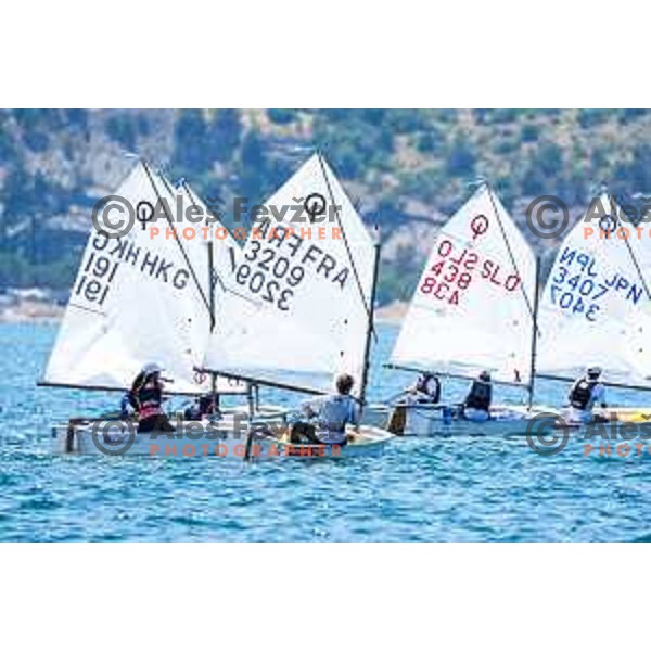 sailing competition at 2025 Optimist World Championship in Portoroz, Slovenia on July 3, 2025