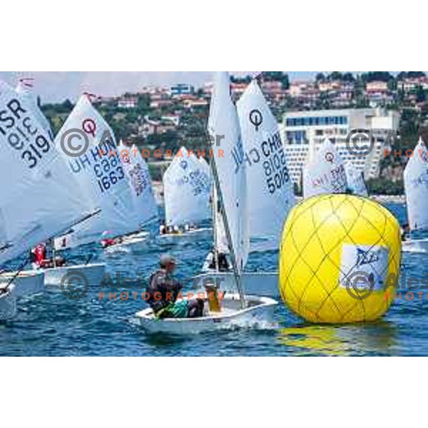 sailing competition at 2025 Optimist World Championship in Portoroz, Slovenia on July 3, 2025