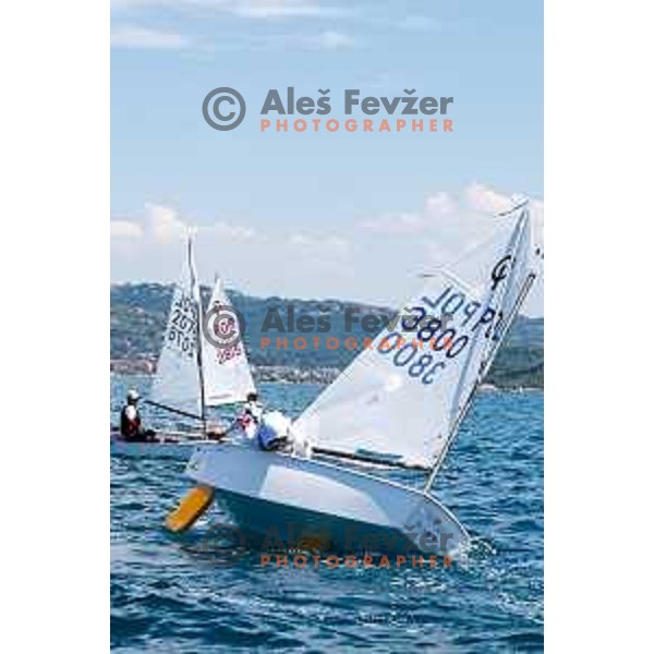 sailing competition at 2025 Optimist World Championship in Portoroz, Slovenia on July 3, 2025