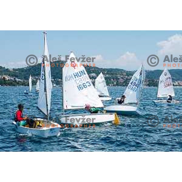sailing competition at 2025 Optimist World Championship in Portoroz, Slovenia on July 3, 2025