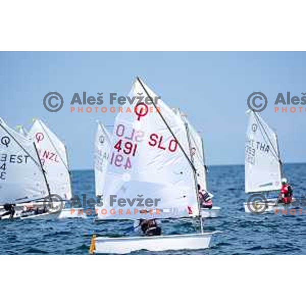 Final day of sailing competition at 2025 Optimist World Championship in Portoroz, Slovenia on July e, 2025