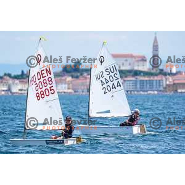 Final day of sailing competition at 2025 Optimist World Championship in Portoroz, Slovenia on July e, 2025