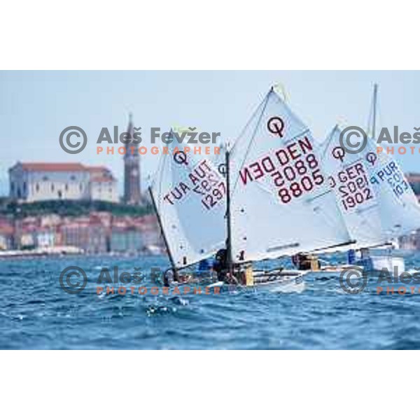 Final day of sailing competition at 2025 Optimist World Championship in Portoroz, Slovenia on July e, 2025
