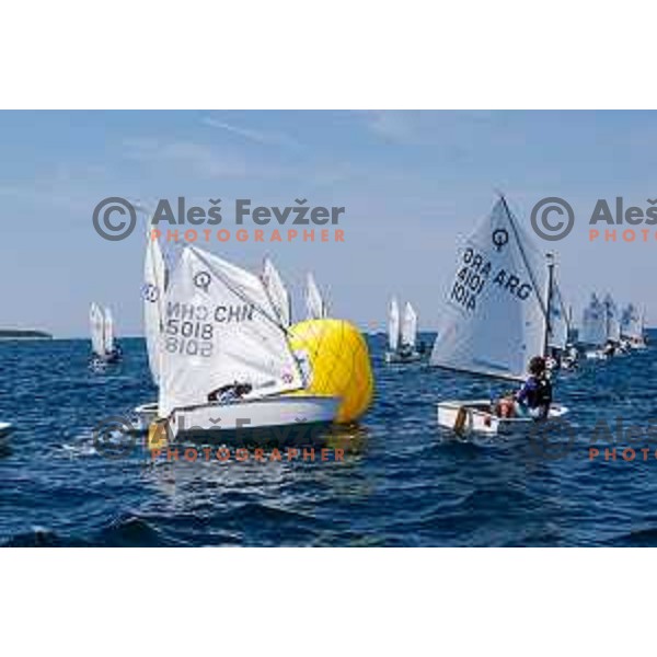 Final day of sailing competition at 2025 Optimist World Championship in Portoroz, Slovenia on July e, 2025