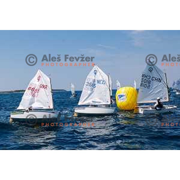 Final day of sailing competition at 2025 Optimist World Championship in Portoroz, Slovenia on July e, 2025