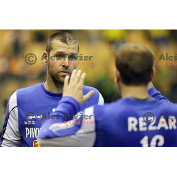 Lapajne at handball match Celje Pivovarna Lasko (SLO)- Hammarby (SWE) in EHF Championsleague, played in Celje (Slovenia) 11.10.2008 