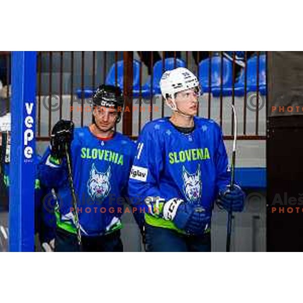 Charity match at reopening of Bled Ice rink between Slovenia Youth and Slovenia Old in Bled, Slovenia on July 9, 2025
