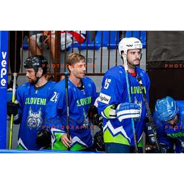 Charity match at reopening of Bled Ice rink between Slovenia Youth and Slovenia Old in Bled, Slovenia on July 9, 2025