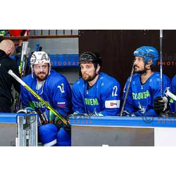 Anze Kopitar at Charity match at reopening of Bled Ice rink between Slovenia Youth and Slovenia Old in Bled, Slovenia on July 9, 2025