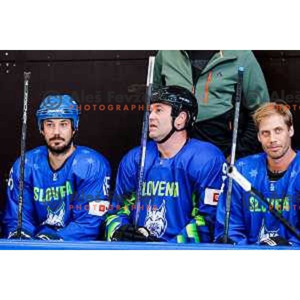 Tomaz Razingar at Charity match at reopening of Bled Ice rink between Slovenia Youth and Slovenia Old in Bled, Slovenia on July 9, 2025