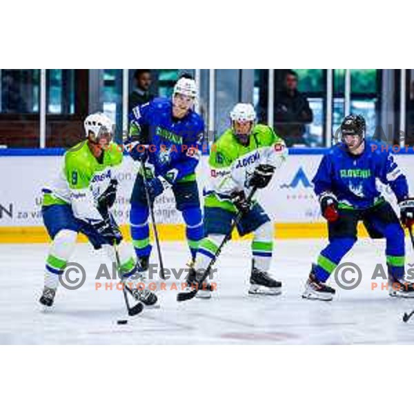Charity match at reopening of Bled Ice rink between Slovenia Youth and Slovenia Old in Bled, Slovenia on July 9, 2025