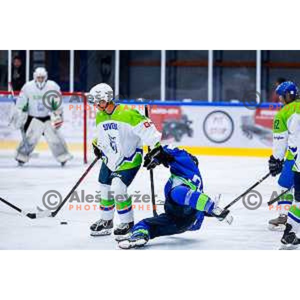 Charity match at reopening of Bled Ice rink between Slovenia Youth and Slovenia Old in Bled, Slovenia on July 9, 2025