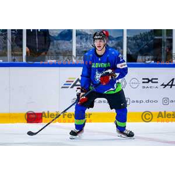 Charity match at reopening of Bled Ice rink between Slovenia Youth and Slovenia Old in Bled, Slovenia on July 9, 2025